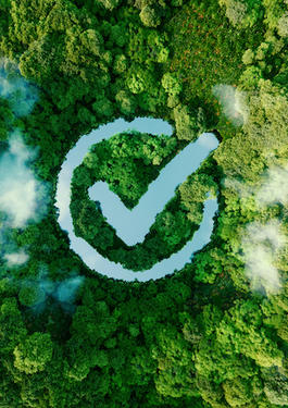 Green 3 scopes carbon