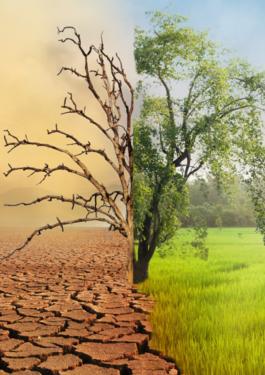 Accompagnement des organisations, bâtiments et infrastructures