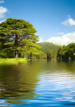 Living Resources RSE