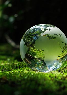 Net Zero