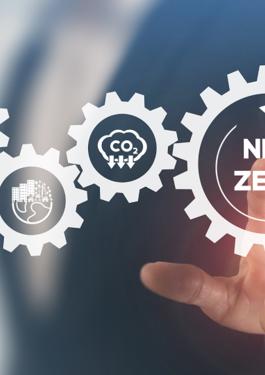 Net zero