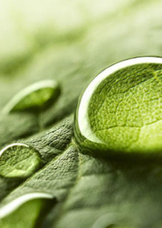 une goutte d'eau sur une feuille 