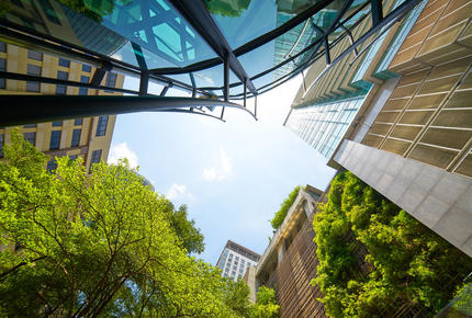 un ensemble de bâtiments entouré d'arbres