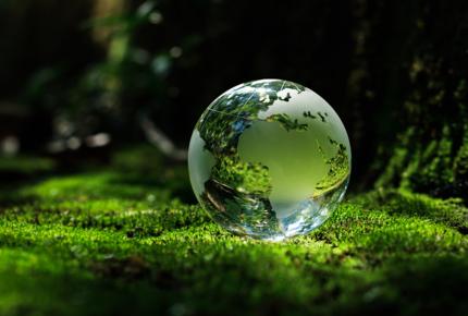 net zero